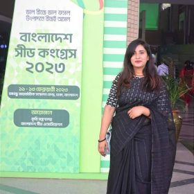 Half Silk Chumki Saree