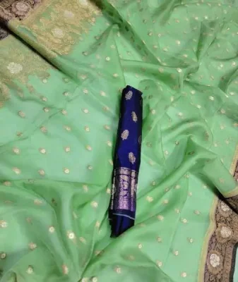 Organza Silk Saree oss14 2 Organza Silk Saree 18