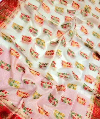Organza Silk Saree 3