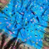 Organza Silk Saree 8
