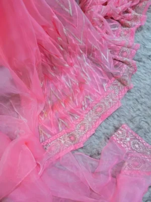 Original Indian Exclusive Organza Silk Saree 4