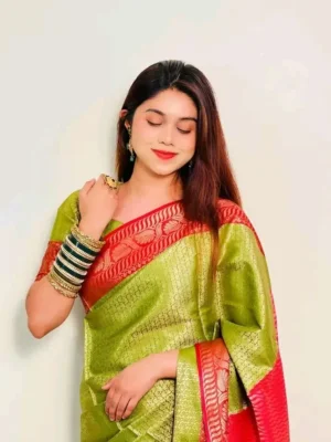 Kanjivaram Saree K0112 - Greenish Beige, Cadmium Red 2 Kanjivaram Saree K0112
