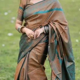 Kanjivaram Saree 3