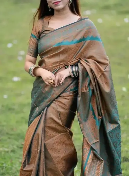 Kanjivaram Saree K0114 - Beaver 1 Kanjivaram Saree 3