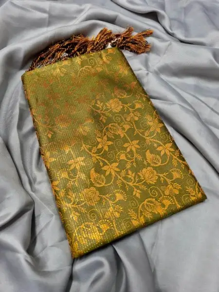 Soft Silk Kanji Katan Saree 35