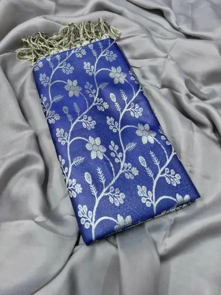 Soft Silk Kanji Katan Saree 37